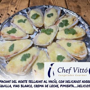 MACHA PARMESANA 12 UNI